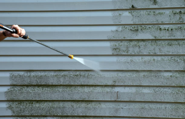 Professional Pressure Washing in Kingsville, MD