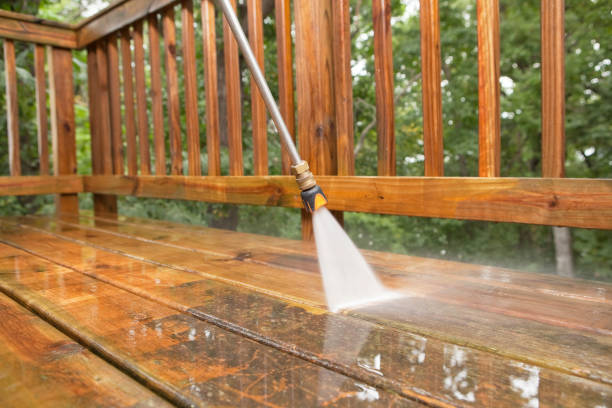Best Roof Pressure Washing  in Kingsville, MD